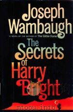 THE SECRETS OF HARRY BRIGHT   1985  PDF电子版封面  0688059589  JOSEPH WAMBAUGH 
