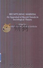 Recapturing Marxism An Appraisal of Recent Trends in Sociological Theory（1987 PDF版）