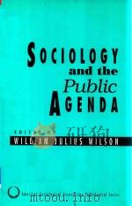 Sociology and the Public Agenda（1993 PDF版）