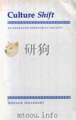 Culture Shift in Advanced Industrial Society   1990  PDF电子版封面  0691022968  Ronald Inglehart 