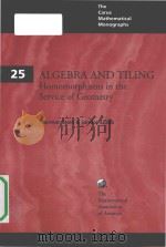 Algebra and Tiling Homomorphisms in the Service of Geometry（1994 PDF版）