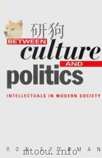 Between Culture and Politics  Intellectuals in Modern Society（1994 PDF版）