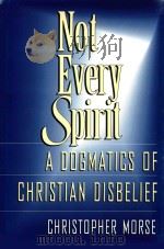 NOT EVERY SPIRIT A DOGMATICS OF CHRISTIAN DISBELIEF   1994  PDF电子版封面  1563380862  CHRISTOPHER MORSE 