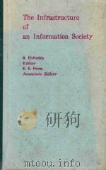 THE INFRASTRUCTURE OF AN INFORMATIN SOCIETY   1984  PDF电子版封面  0444875492   