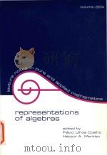 Representations of algebras proceedings of the conference held in sao paulo volume 224（1999 PDF版）