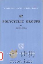 Polycyclic groups   1983  PDF电子版封面  0521023947  Daniel Segal 