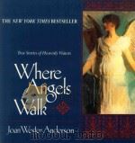 WHERE ANGELS WALK   1992  PDF电子版封面  0345383389   