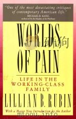 WORLDS OF PAIN   1992  PDF电子版封面  0465092489  LILLIANB.RUBIN 