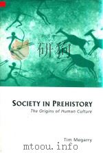 Social in Prehistory The Origins of Human Culture   1995  PDF电子版封面  0333311175  Tim Megarry 