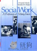 Social Work A Profession of Many Faces 5th Edition   1989  PDF电子版封面  0205118887   