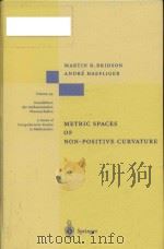 Metric spaces of non-positive curvature Volume 319（1999 PDF版）