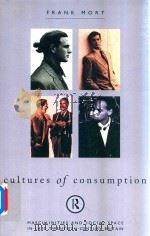Cultures of Consumption Masculinties and Social Space in Late Twentieth-Century Britain（1996 PDF版）