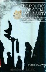 The Politics of Social Solidarity Class Bases of the European Welfare State 1875-1975   1990  PDF电子版封面  0521375126  Peter Baldwin 