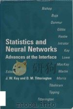 Statistics and neural networks advances at the interface（1999 PDF版）