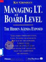Managing IT at Board Level The Hidden Agenda Exposed（1991 PDF版）