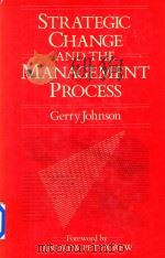 Strategic Change and the Management Process（1987 PDF版）