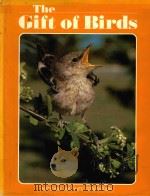THE GIFT OF BIRDS   1979  PDF电子版封面     