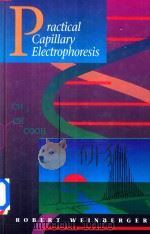 Practical Capillary Electrophoresis（1993 PDF版）