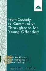 FROM CUSTODY TO  COMMUNITY:THROUGHCARE FOR YOUNG OFFENDERS   1992  PDF电子版封面  1856282651  DAVID MCALLISTER A.KEITH BOTTO 