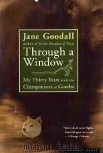 THROUGH A WINDOW（1990 PDF版）
