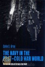 THE NAVY IN THE POST-COLD WAR WORLD The Uses and Value of Strategic Sea Power（1994 PDF版）