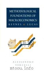 Methodological Foundations of Macroeconomics Keynes and Lucas   1991  PDF电子版封面  0521392942  Alessandro Vercelli 