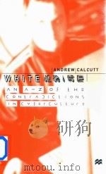 White Noise An A-Z Of The Contradictions In Cyberculture（1999 PDF版）
