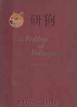 THE PROBLEM OF DELINQUENCY   1959  PDF电子版封面    SHELDON GLUECK 