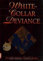 WHITE-COLLAR DEVIANCE（1999 PDF版）