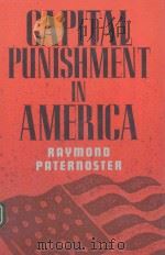 CAPITAL PUNISHMENT IN AMERICA（1991 PDF版）