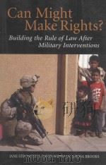 CAN MIGHT MAKE RIGHTS? BUILDING THE RULE OF LAW AFTER MILITARY INTERVENTIONS（索书号：D(9)94，S921 PDF版）