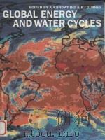 Global energy and water cycles（1999 PDF版）