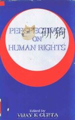 Perspectives On Human Rights   1996  PDF电子版封面  8125901396  Vijay K.Gupta 