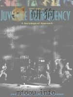 JUVENILE DELINQUENCY A SOCIOLOGICAL APPROACH   1985  PDF电子版封面  0205321771   