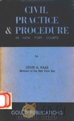 CIVIL PRACTICE AND PROCEDURE IN NEW YORK COURTS   1963  PDF电子版封面    LOUIS A.KASS 