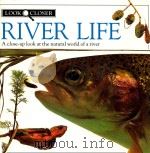 RIVER LIFE  A close-up look at the natural world of a river     PDF电子版封面    1992 