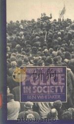 THE POLICE IN SOCIETY   1979  PDF电子版封面  041334200X  BEN WHITAKER 