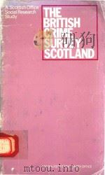 THE BRITISH CRIME SURVEY SCOTLAND（1984 PDF版）