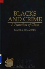 BLACKS AND CRIME A FUNCTION OF CLASS   1995  PDF电子版封面  0275949370   