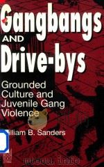 GANGBANGS AND DRIVE-BYS GROUNDED CULTURE AND JUVENILE GANG VIOLENCE   1994  PDF电子版封面  0202305376   