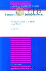 Perspectives in Jurisprudence An Analysis of H.L.A.Hart's Legal Theory（1998 PDF版）