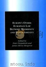 Europe's Other：European law Between Modernity and Postmodernity   1998  PDF电子版封面  1855218879   