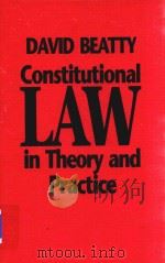 Constitutional Law in Theory and Practice   1995  PDF电子版封面  0802007015  David Beatty 