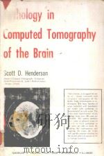 PATHOLOGY IN COMPUTED TOMOGRAPHY OF THE BRAIN（1978 PDF版）