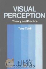VISUAL PERCEPTION THEORY AND PRACTICE   1981  PDF电子版封面  008024419X  TERRY CAELLI 