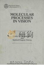 MOLECULAR PROCESSES IN VISION（1981 PDF版）