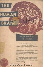 THE HUMAN BRAIN FROM PRIMITIVE TO MODERN   1957  PDF电子版封面    A.M.LASSEK 