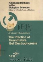 ANDREAS CHRAMBACH THE PRACTICE OF QUANTITATIVE GEL ELECTROPHORESIS（1985 PDF版）