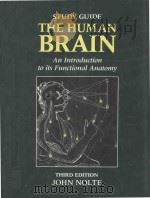 A STUDY GUIDE TO ACCOMPANY THE HUMAN BRAIN   1993  PDF电子版封面    JOHN NOLTE PH.D. 