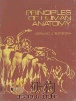 PRINCIPLES OF HUMAN ANATOMY   1977  PDF电子版封面  0063887754  GERARD J.TORTORA 
